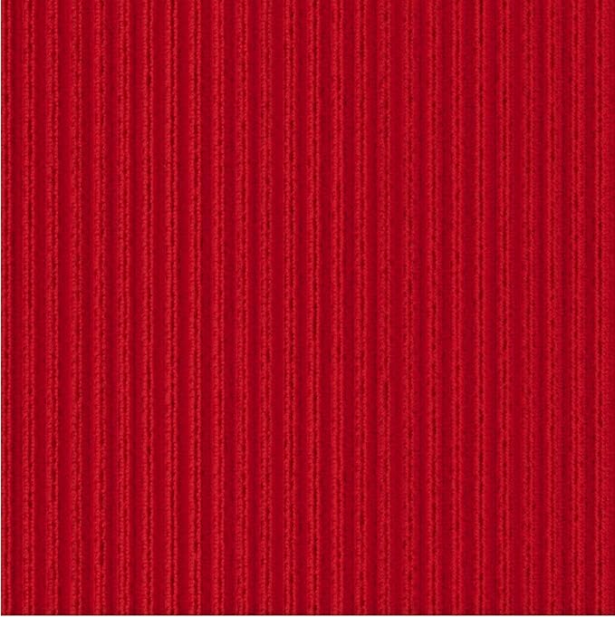 Ottomanson 2'7" x 5' Mud Mat Area Rug Scraper Carpet - Non-Slip, Dirt Trapping for Indoor & Outdoor Use - Ideal for Entryway, Garage, Kitchen, Patio & High-Traffic Areas, Red