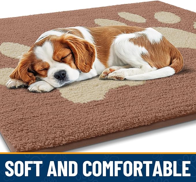 Smiry Dog Door Mat for Muddy Paws, Absorbs Moisture and Dirt, Low-Profile Entryway Mat with Non-Slip Backing, Entry Indoor Outdoor Doormat for Inside Floor (40x32 Inches, Camel, Paw)