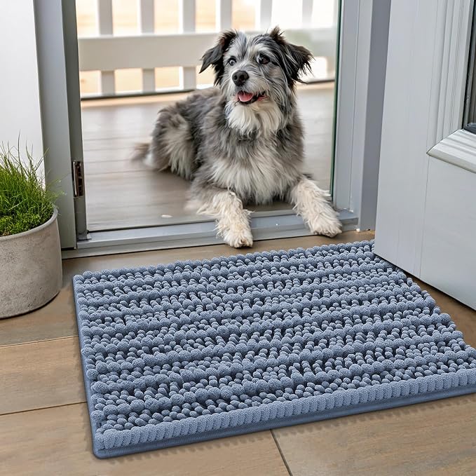 Smiry Dog Door Mat for Muddy Paws 24x16, Absorbent Dirt Trapper, Non-Slip Washable Chenille Entryway Rug for Inside Floor, Airy Blue, Layered Pattern