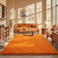 Ophanie Orange Rugs for Living Room Bedroom, 5x8 Fluffy Fuzzy Furry Carpet, Plush Soft Shaggy Bedside Indoor Floor Area Rug for Kids Girls Boys Baby Teen Dorm Nursery Home Decor Aesthetic