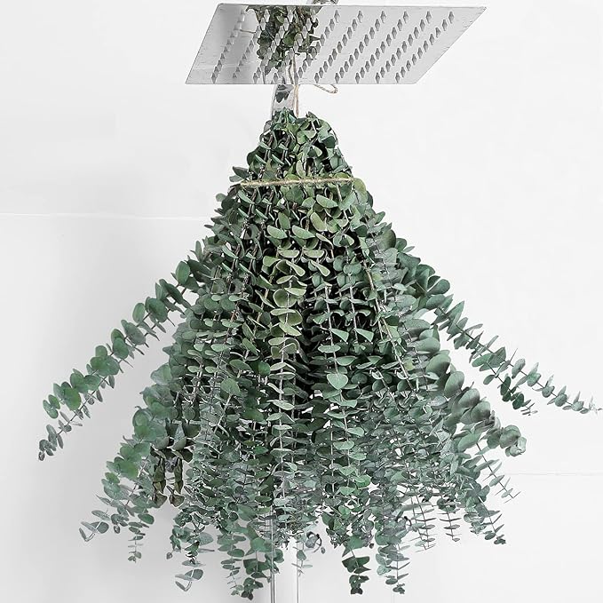 20 Pcs Dried Eucalyptus Stems 17" Real Eucalyptus for Shower Hanging 100% Made from Fresh Leaves, Wedding, Home, Farmhouse, DIY Spring Decor