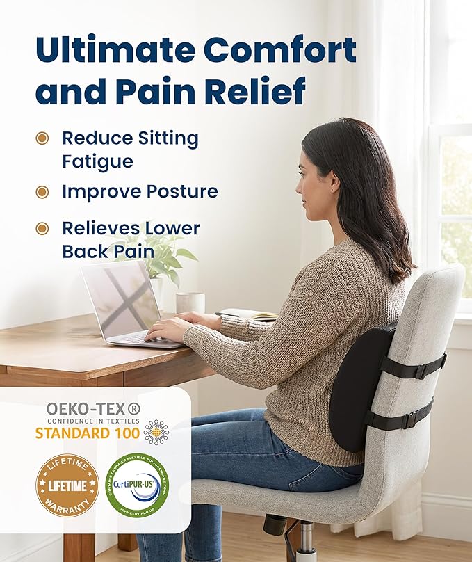 Everlasting Comfort The Original Lumbar Support Pillow for Office Chair - Improves Posture, Promotes Back Pain Relief - Superior Back Support for Gaming and Desk Chairs - Lumbar Pillow for Car, Couch