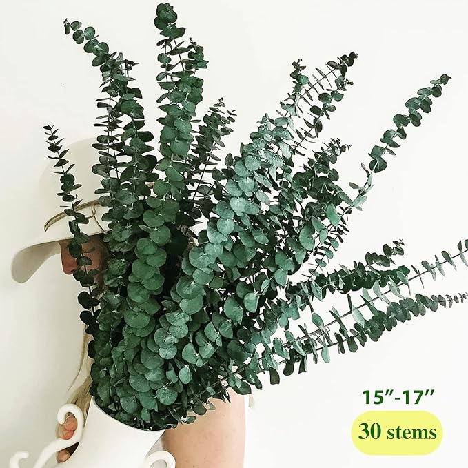 30 Pcs Dried Preserved Eucalyptus Stems Shower Bundle, 9oz 17" 100% Natural Fresh Eucalyptus Plant, Real Eucalyptus Leaves Branches for Shower Vase Filler, Dried Flowers Arrangement Home Decor