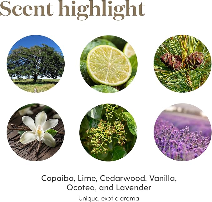 Young Living Stress Away Essential Oil Blend | 5 ml | Sweet Lime & Vanilla Aromatherapy Oil for Diffusers, Massage & DIY Blends | Relaxing Fragrance for Home, Office & Everyday Aromatic Use