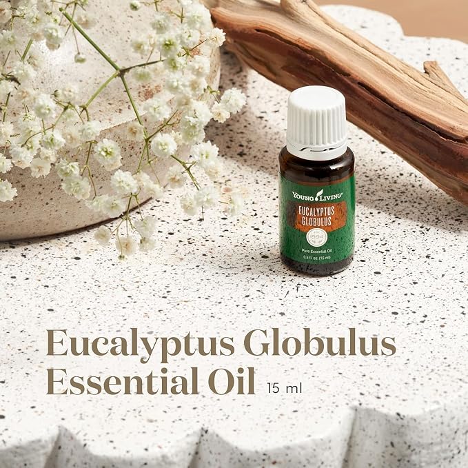 Young Living Eucalyptus Globulus Essential Oil | Cooling, Refreshing Aroma for Diffusion & Massage | Supports Breathing Comfort & Relaxation | Premium Seed to Seal® Quality Oil | 15ml