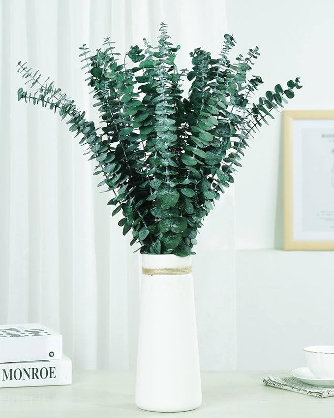 30 Pcs Dried Preserved Eucalyptus Stems Shower Bundle, 9oz 17" 100% Natural Fresh Eucalyptus Plant, Real Eucalyptus Leaves Branches for Shower Vase Filler, Dried Flowers Arrangement Home Decor