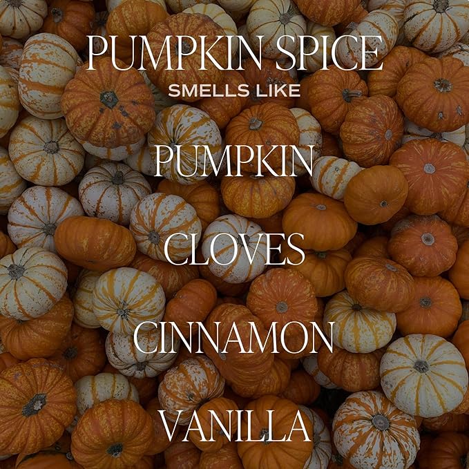 Sweet Water Decor Pumpkin Spice Reed Diffuser Set - Pumpkin, Cloves, Cinnamon, and Vanilla Fall Scented Diffusers - Scent Diffusers for Home, Long Lasting Fragrance, Made in the USA