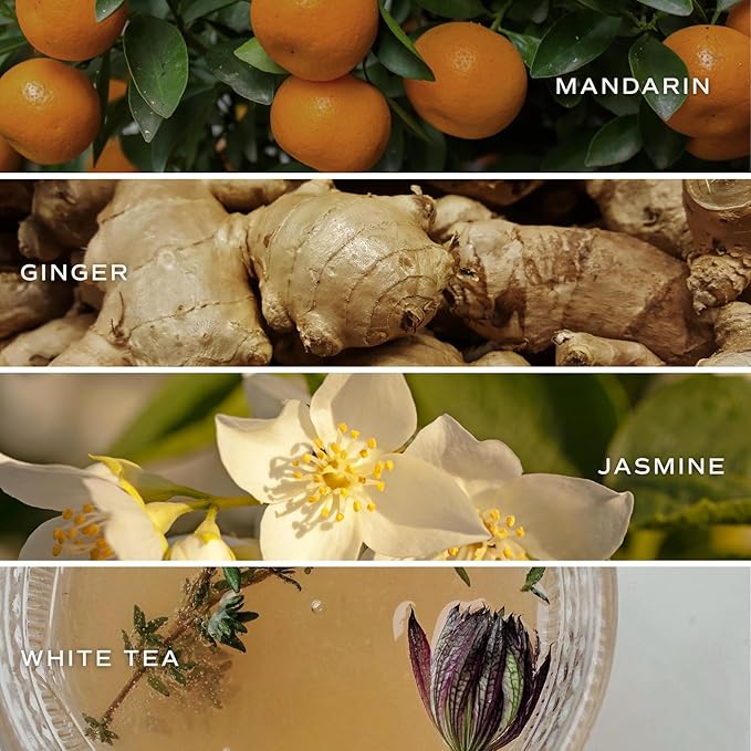 Sweet Water Decor Calm and Comfort Reed Diffuser Set | Mandarin, Ginger, Jasmine, White Tea Spa Scented Diffusers | Air Freshener | Housewarming Gift | Aromatic Stress Relief