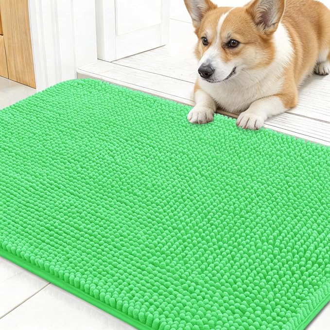 OLANLY Dog Door Mat for Muddy Paws 24x16, Absorbs Moisture and Dirt, Absorbent Non-Slip Washable Doormat, Quick Dry Chenille Mud Mat for Dogs, Entry Indoor Entryway Carpet for Inside Floor, Mint Green