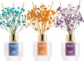 Airkeep Reed Diffuser Set of 3, Ocean Breeze Sweet Orange Cashmere Vanilla Oil Reed Diffusers for Bedroom Living Room Office Aromatherapy Oil Reed Diffuser for Gift 50ml x 3