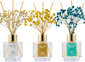 Airkeep Reed Diffuser Set of 3,Clean Cotton White Jasmine White Tea Oil Reed Diffusers for Bedroom Living Room Office Aromatherapy Oil Reed Diffuser for Gift 50ml x 3