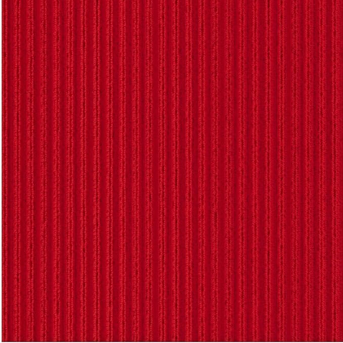 Ottomanson Mud Mat 2'7" x 4' Entryway Rug - Non-Slip Scraper Doormat for Muddy Paws, Dirt Trapping Indoor/Outdoor Mat for High-Traffic Areas, Kitchen, Garage, Patio, Red