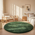 Ophanie Round Rug 5Ft Grey Green Circle Area Rug, Grayish Green Room Decor, Fluffy Fuzzy Bedroom Carpet, Plush Soft Shaggy Living Room Rugs for Kids Home Aesthetic, Nursery