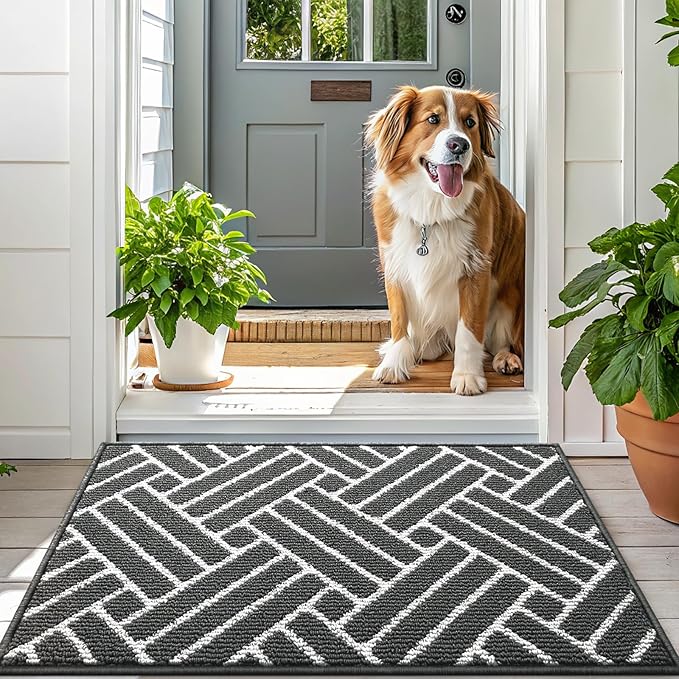 OLANLY Indoor Door Mat, 48x32 Inch, Dirt Resistant and Absorbent, Non-Slip Rubber Backing Floor Mats, Easy Clean Low-Profile Doormat for Entryway, Front Door, and Inside Entrance, Charcoal