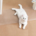 Uross Carpet Protector for Pets - Cat Carpet Protector for Doorway, Anti Scratch Under Door Cat Scratch Protector Mat, Easy to Cut Plastic Carpet Scratch Stopper Guard 3.6FT x 3PCS