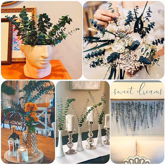 30 Pcs Dried Preserved Eucalyptus Stems Shower Bundle, 9oz 17" 100% Natural Fresh Eucalyptus Plant, Real Eucalyptus Leaves Branches for Shower Vase Filler, Dried Flowers Arrangement Home Decor