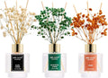 Airkeep Reed Diffuser Set of 3, Black Forest Eucalyptus Moss Citrus Oil Reed Diffusers for Bedroom Living Room Office Aromatherapy Oil Reed Diffuser for Gift 50ml