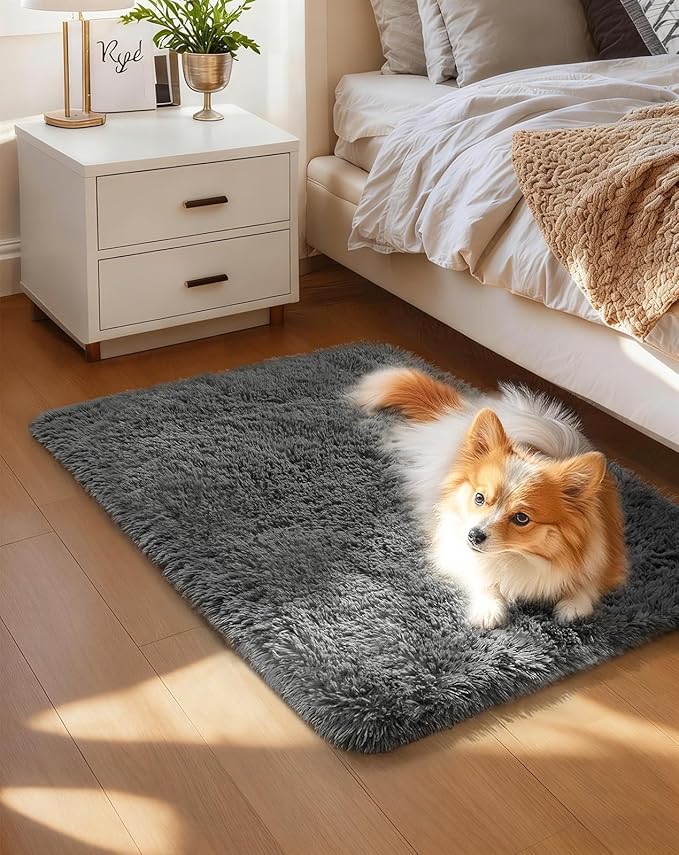 Ophanie Small Rug Washable Non Slip Throw Bedside Area Rugs, Fluffy Soft Mini Bedroom Carpet, Door Entryway Indoor Inside Front Entrance 1.5x2.5 Mat, Home Decor Aesthetic, Grey