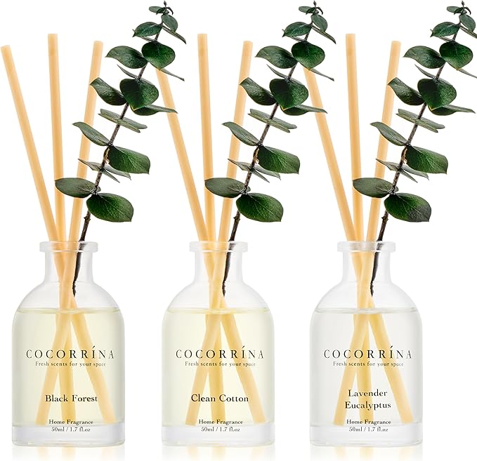 COCORRÍNA Eucalyptus Reed Diffuser Set of 3 - Lavender Eucalyptus, Black Forest, Clean Cotton Scents, 1.7 fl oz Each, Total 5.1 oz, Scented Oil Diffusers for Home & Office﻿