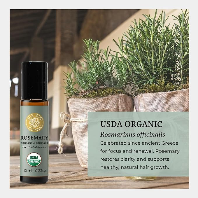 Silk Road Organic Rosemary Essential Oil & Jojoba Roll On, USDA Certified, Support Hair Growth & Health - 10 ml Aromatherapy Roller