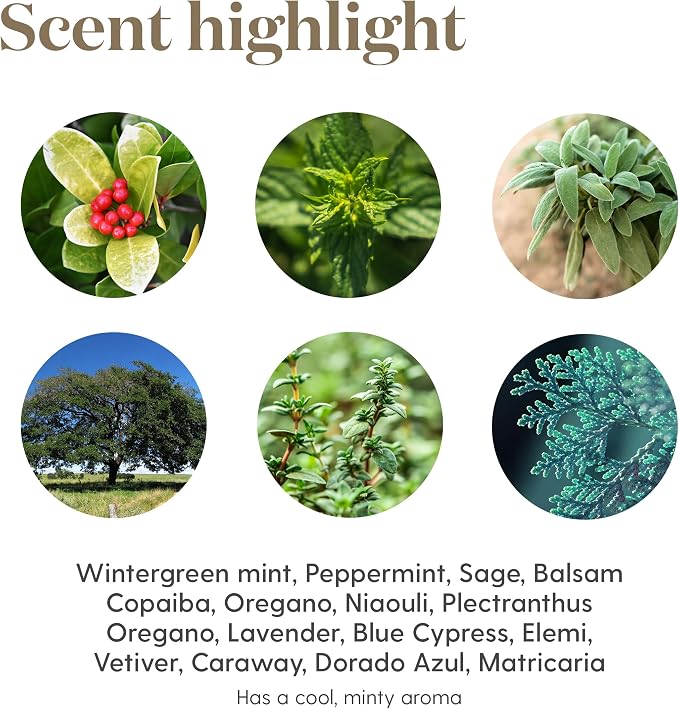 Young Living Cool Azul Essential Oil Blend | 15 ml | Cooling Minty Herbal Aroma for Diffusers, Massage & Aromatherapy | Wintergreen, Peppermint & Sage Botanical Blend | Seed to Seal Quality