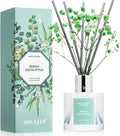 Airkeep Reed Diffuser Set,3.38 fl oz (100 ml) - Moss Eucalyptus Oil Diffusers with 8 Reed Sticks, Home Fragrance Reed Diffuser for Bathroom Shelf Decor