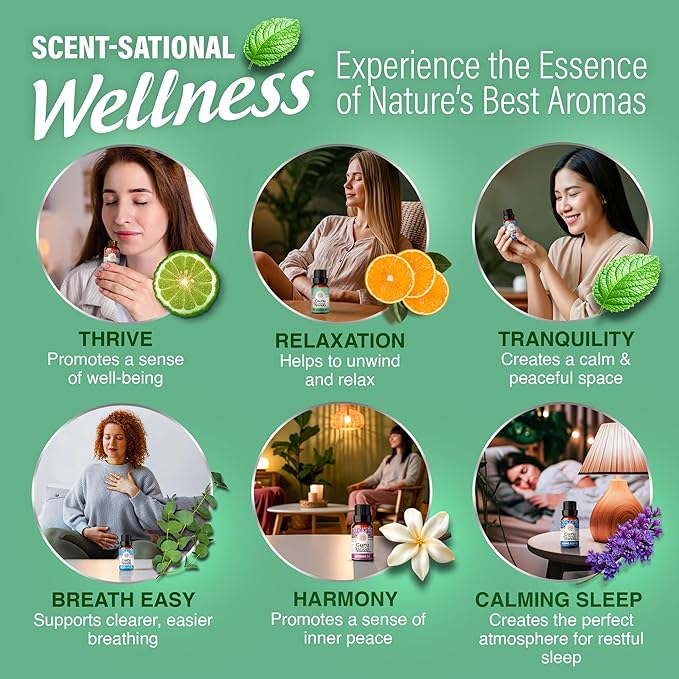 GuruNanda Essential Oil Blends – 6 Pack (10mL Each), Breathe Easy, Tranquility, Relaxation, Harmony, Calming Sleep & Thrive, Natural Aromatherapy Oils for Diffuser, Wellness & DIY