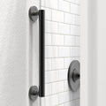 ADA Compliant Grab Bar, 500lbs Weight Support for Bath Safety (16 inch, Matte Black)