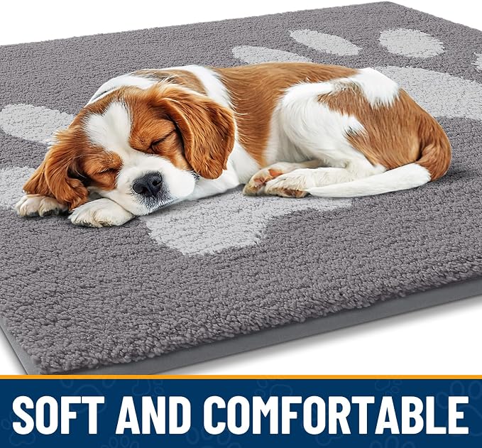 Smiry Dog Door Mat for Muddy Paws, Absorbs Moisture and Dirt, Low-Profile Entryway Mat with Non-Slip Backing, Entry Indoor Outdoor Doormat for Inside Floor (40x32 Inches, Light Grey, Paw)