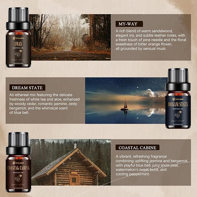 Hotel Collection Diffuser Oil, My Way, Dream State, Coastal Cabine, Inspired by The Most Popular 5-Star Hotel Scents, Fragrance Oil Set 6 * 10 ml