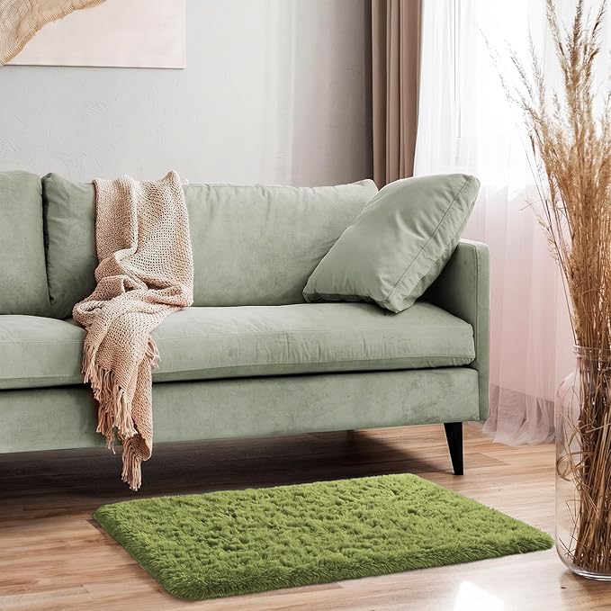 Ophanie Small Rug Washable Non Slip Throw Bedside Area Rugs, Fluffy Soft Green Mini Bedroom Carpet, Affordable Door Entryway Indoor Inside Front Entrance Dog 2x3 Mat, Home Decor Aesthetic, Nursery
