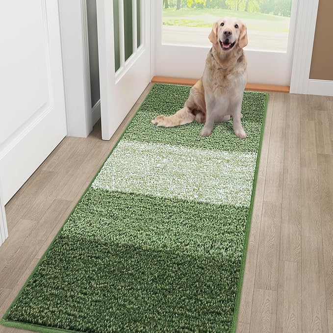 Smiry Dog Door Mat for Muddy Paws, Absorbs Moisture and Dirt, Low-Profile Entryway Mat with Non-Slip Backing, Entry Indoor Outdoor Doormat for Inside Floor (48x30 Inches, Green, Striped)