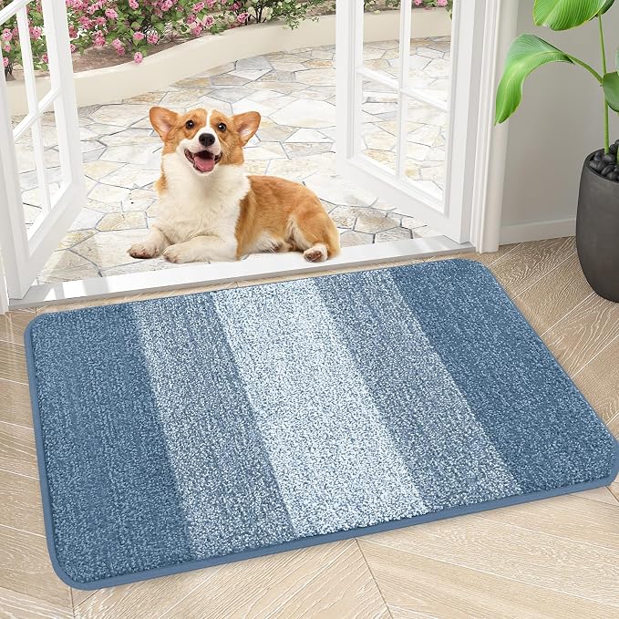 Kitinjoy Indoor Outdoor Door Mat, 30x17 Non-Slip Absorbent Dirt Trapper, Low-Profile Washable Inside Entrance Front Floor Mat, Sturdy Soft Entry Doormats for Entryway, Light Blue