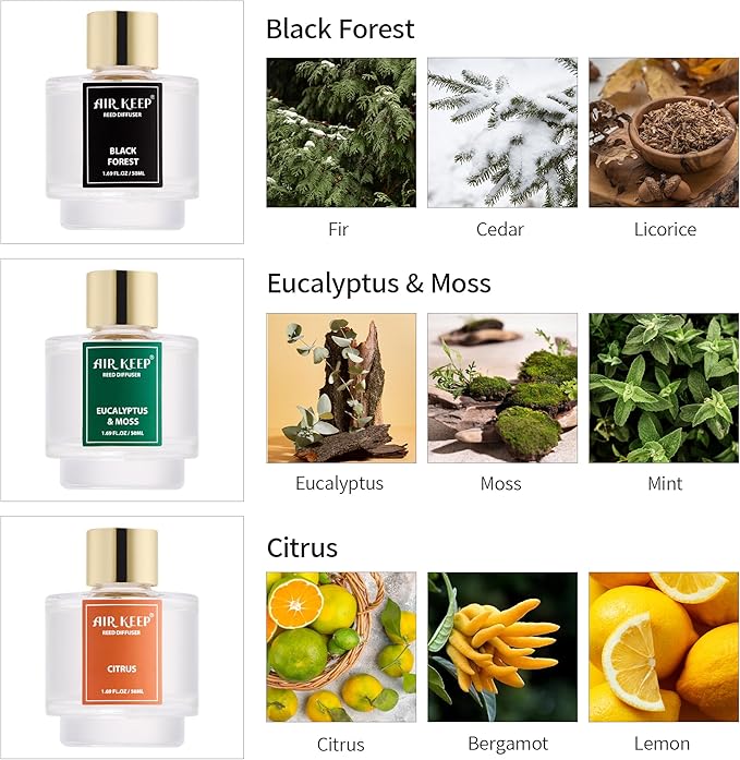 Airkeep Reed Diffuser Set of 3, Black Forest Eucalyptus Moss Citrus Oil Reed Diffusers for Bedroom Living Room Office Aromatherapy Oil Reed Diffuser for Gift 50ml