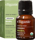 Cliganic Organic Basil Essential Oil, 100% Pure Natural for Aromatherapy | Non-GMO Verified