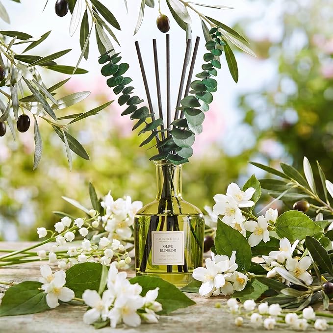 COCORRÍNA Olive Blossom Reed Diffuser – 6.76 oz Essential Oil with 8 Reeds & Real Eucalyptus Sticks, Home Fragrance for Bedroom or Bathroom Décor