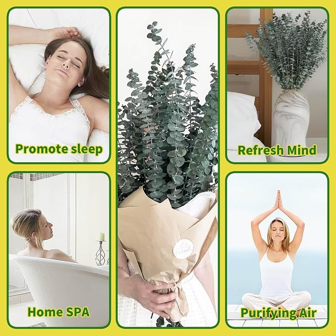 41 PCS Dried Preserved Eucalyptus Bundle for Shower-17'' Real Large Dried Eucalyptus Stems Shower Plants for Shower Hanging, Fresh Eucalyptus Leaves, Fragrance, Bathroom Vase Decor