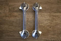Suction Grab Bar (2-Pack)