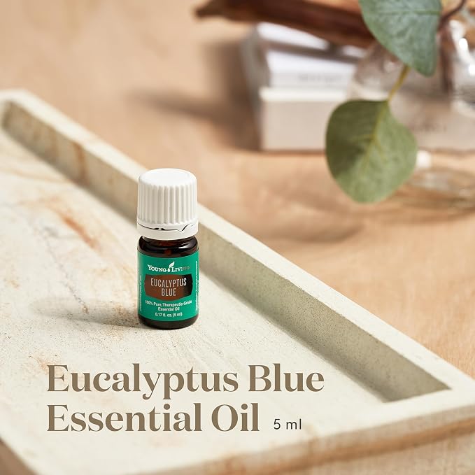 Young Living Eucalyptus Blue Essential Oil | 5 ml | Premium, Invigorating Botanical Extract | Crisp, Refreshing Aroma for Diffusers, Wellness, Comfort, & Soothing Aromatherapy Experience