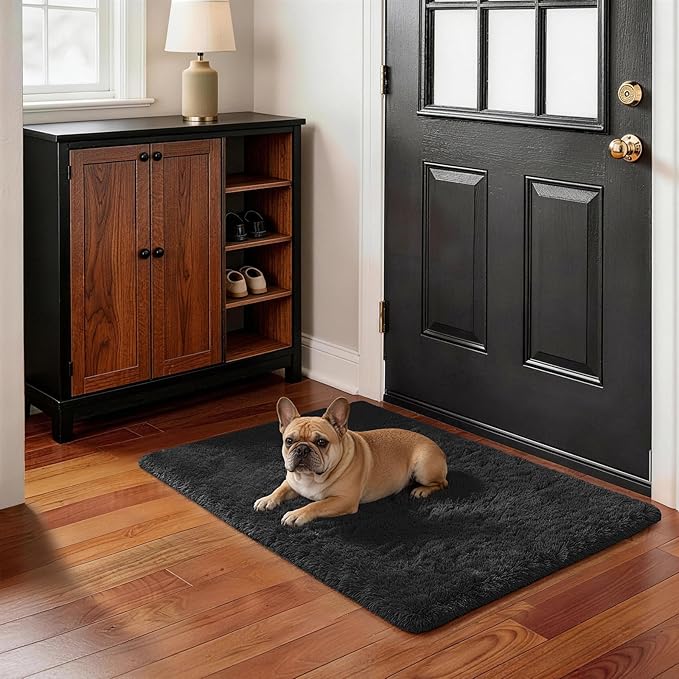 Ophanie Small Black Entryway Throw Rugs for Bedroom, 2x3 Mini Area Rug, Affordable Non Slip Fluffy Carpet, Fuzzy Soft Living Room Rug, Home Decor Aesthetic, Nursery