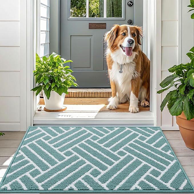 OLANLY Indoor Door Mat, 48x32 Inch, Dirt Resistant and Absorbent, Non-Slip Rubber Backing Floor Mats, Easy Clean Low-Profile Doormat for Entryway, Front Door, and Inside Entrance, Sage Green