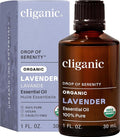 Cliganic Organic Lavender Essential Oil, 1oz - 100% Pure Natural Undiluted, for Aromatherapy Diffuser | Non-GMO Verified