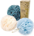 Spongentle Shower Loofah Bath Sponge, Body Scrubber with Soft Mesh, Exfoliating Bath Pouf and Body Wash Sponge for Women and Men, Bath Accessories Cleaning Tool, Large 70g 3 Pack