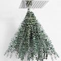 30 Pcs Dried Eucalyptus Stems 17" Real Eucalyptus for Shower Hanging 100% Made from Fresh Leaves, Wedding, Home, Farmhouse, DIY Spring Decor
