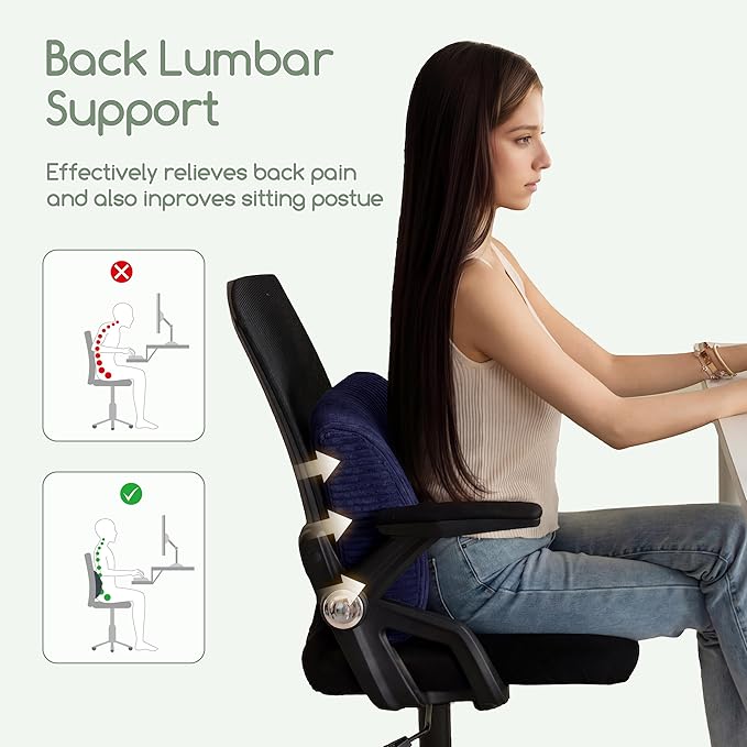 HIGOGOGO Lumbar Support Pillow for Recliner Chair/Accent Chair/Couch, Large Memory Foam Back Support Cushion for Elderly, Recliner Cushions for Back Rest, Pain Relief, Reading, Washable Cover, Navy