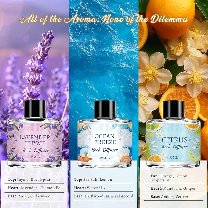 Reed Diffuser Set of 6 Pack, Home Fragrance Reed Diffuser with 24 Sticks, Scented Essential Oil Air Freshener for Home, Bathroom, Bedroom, Office Decor, Long Lasting Room Freshener Gift -Each 1.69oz