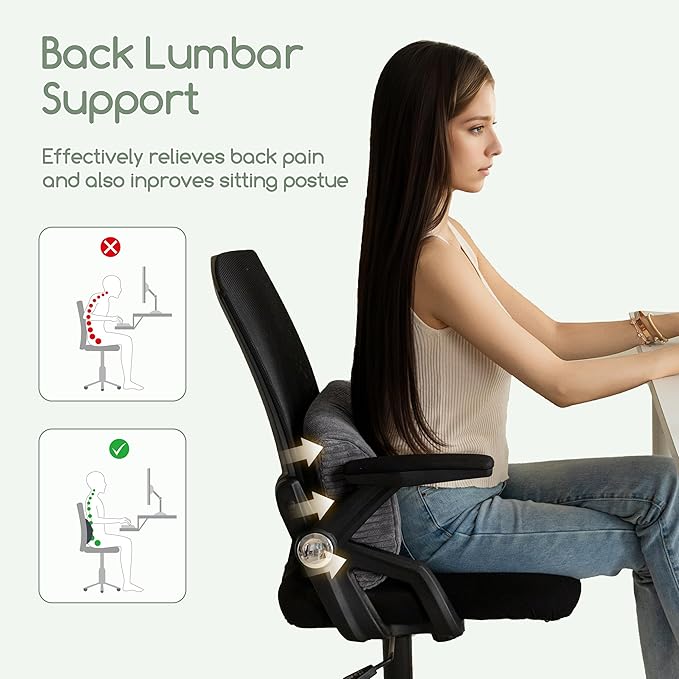 HIGOGOGO Lumbar Support Pillow for Recliner Chair/Accent Chair/Couch, Memory Foam Back Support Cushion for Elderly, Recliner Cushions for Back Rest, Pain Relief, Reading, Washable Cover, Dark Grey