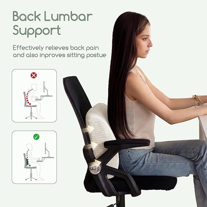 HIGOGOGO Lumbar Support Pillow for Recliner Chair/Accent Chair/Couch, Large Memory Foam Back Support Cushion for Elderly, Recliner Cushions for Back Rest, Pain Relief, Reading, Washable Cover, Beige
