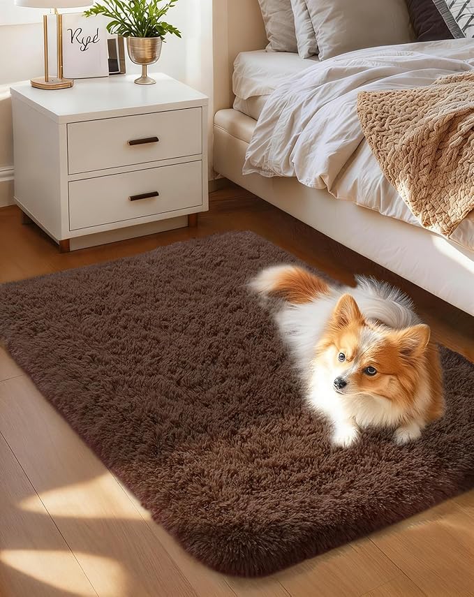 Ophanie Small Rug Washable Non Slip Throw Bedside Area Rugs, Fluffy Soft Brown Mini Bedroom Carpet, Affordable Door Entryway Indoor Inside Front Entrance Dog 2x3 Mat, Home Decor Aesthetic, Nursery