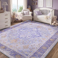 RELEANY Area Rugs 5'x7' Washable Non-Slip, Floral Vintage Distress Medallion Carpet for Living Room Bedroom Dining Room, Light Purple Brown